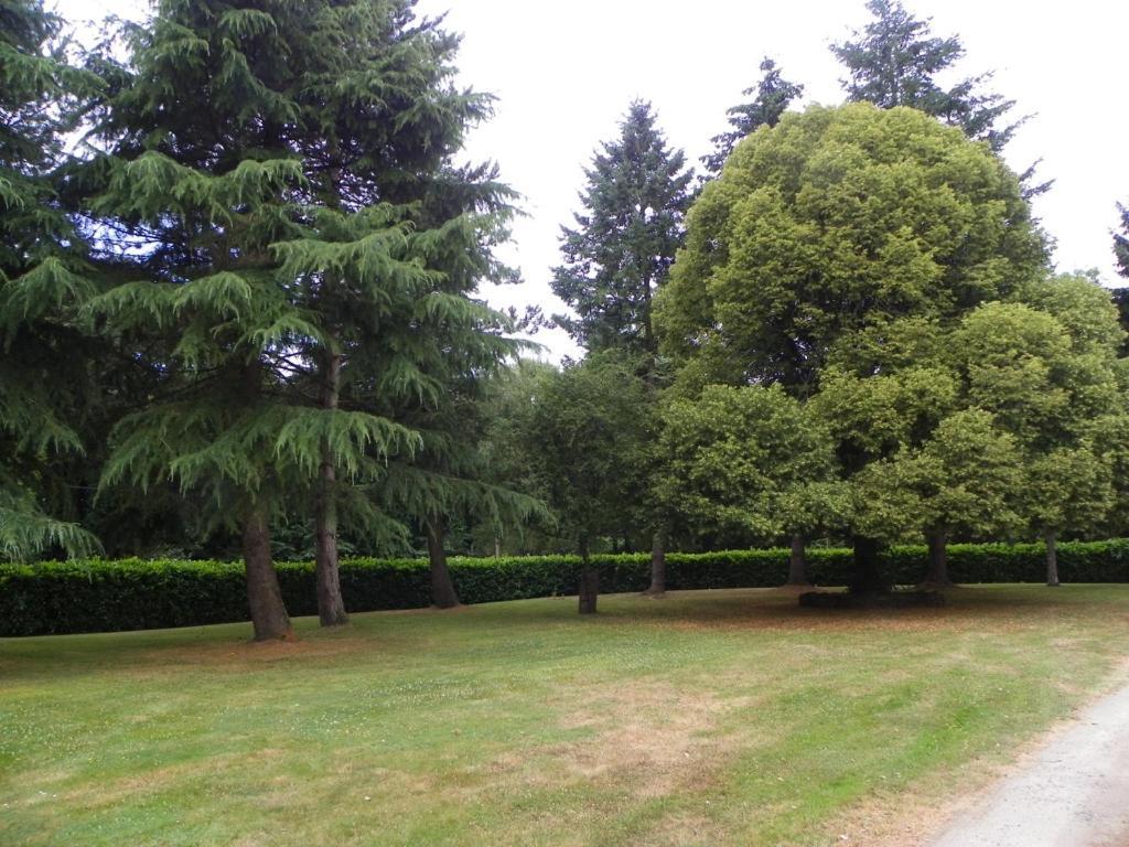 Manoir De Saint-Fiacre Bed & Breakfast Malansac Exterior foto