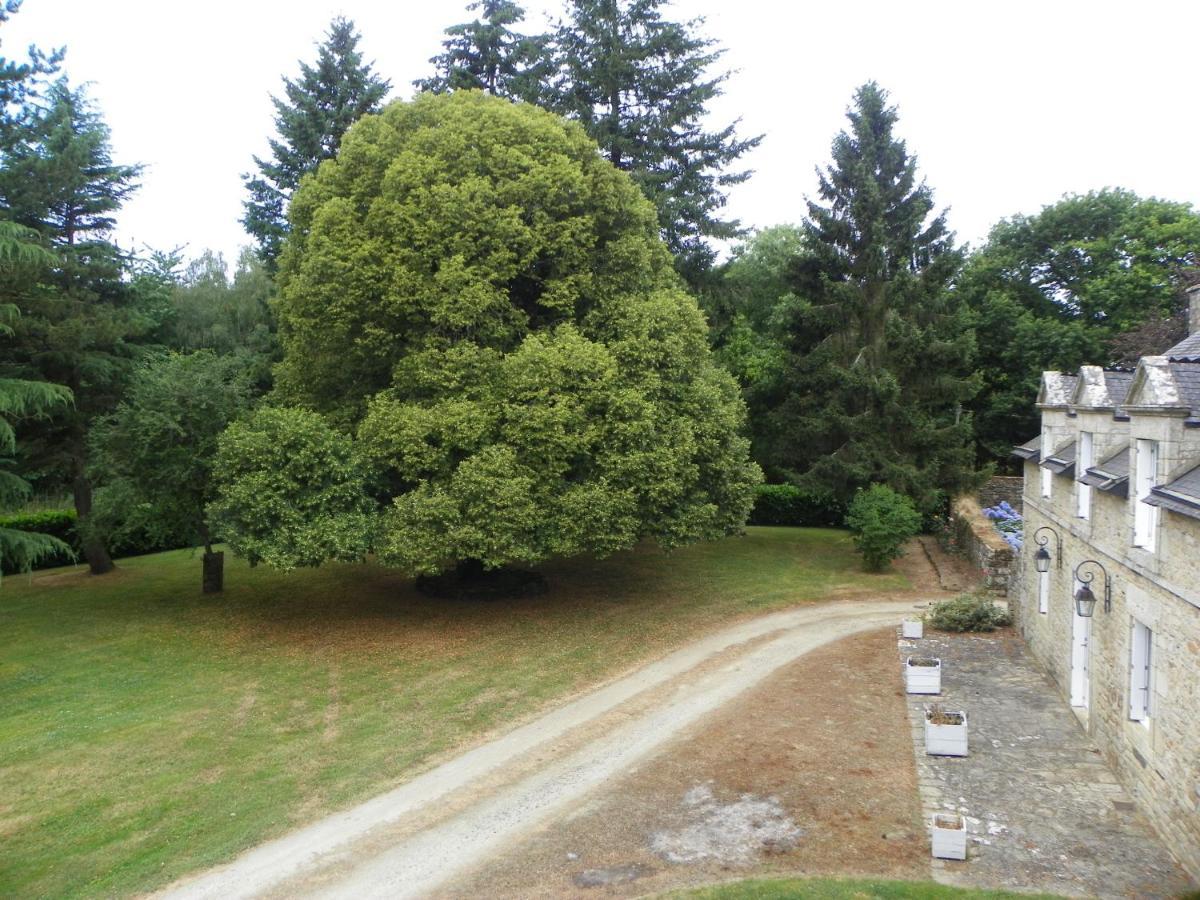 Manoir De Saint-Fiacre Bed & Breakfast Malansac Exterior foto